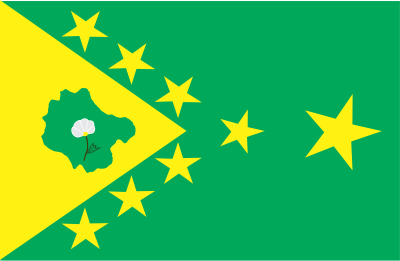 Bandeira do município